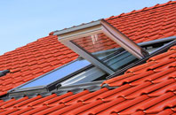 Bodiggo roof window